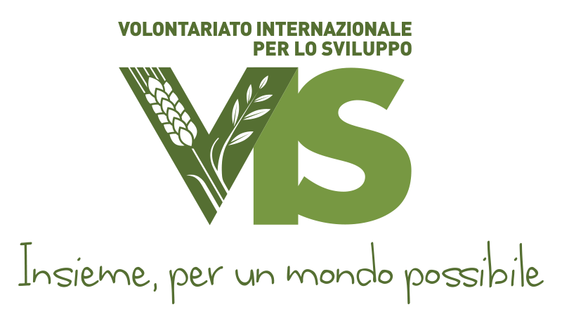 VIS logo bianco